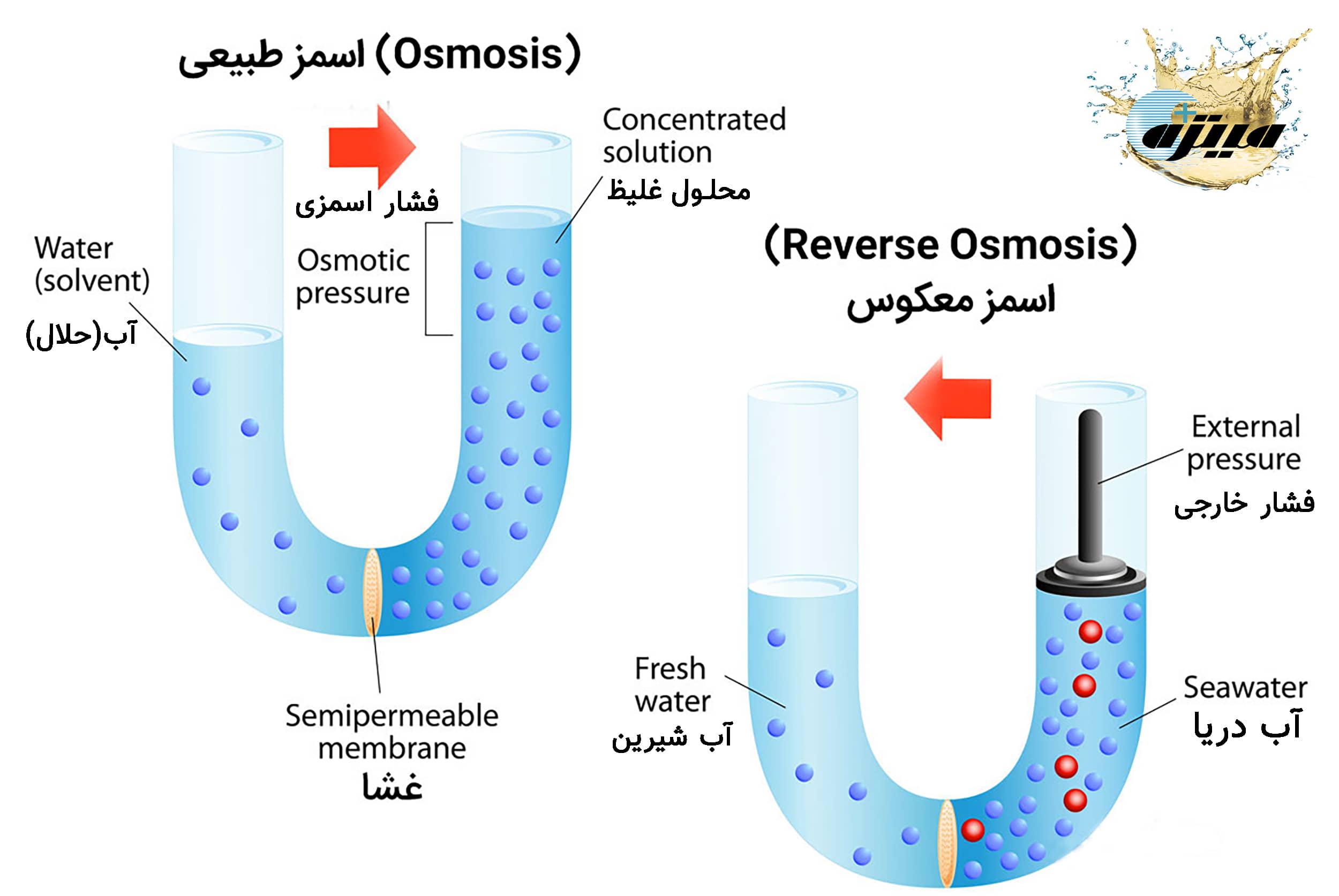 فرآیند اسمز معکوس و اسمز طبیعی