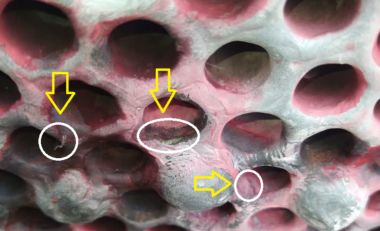 Cracks formed at the tube to tube sheet connection points