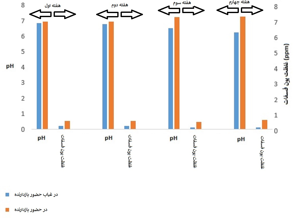 pH changes and phosphate ion concentration