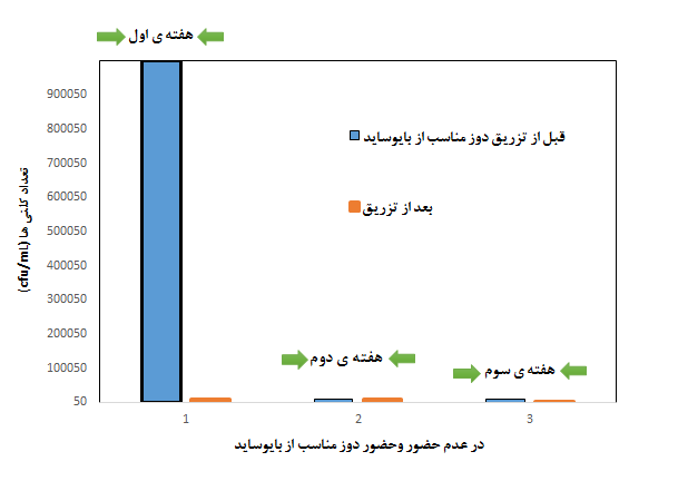 بررسی تعداد کلنی ها و آلودگی میکروبی