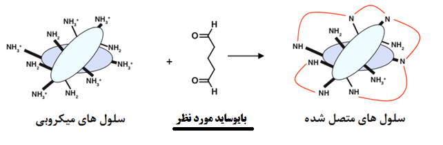 عملکرد بایوساید 0085 