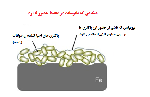 خوردگی میکروبی از طریق دپلاریزاسیون کاتدی