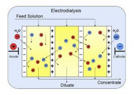 Schematic of water purification using electrodialysis