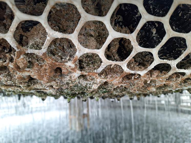 Deposits accumulated in the cooling tower