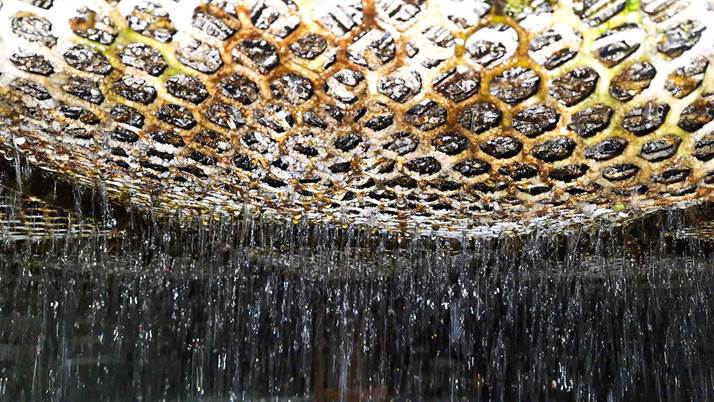 Bad odor or algae growth in the cooling tower tank