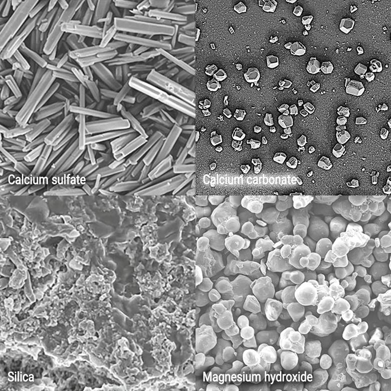 انواع رسوبات در آب شیرین کن MED