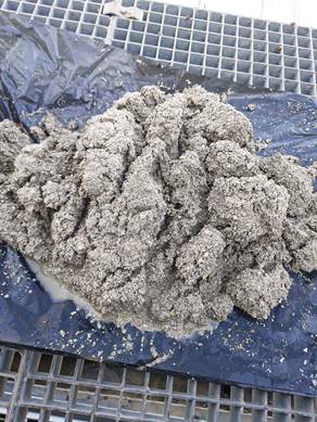 نمونه رسوبات درون کولینگ تاور نمونه رسوبات درون کولینگ تاور